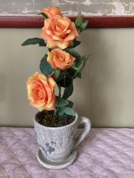 https://www.greendog.hu/Images/Products/IMG_3964.jpg?1674744684